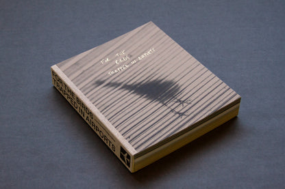 For the Birds Trapped in Airports by Matthew Austin