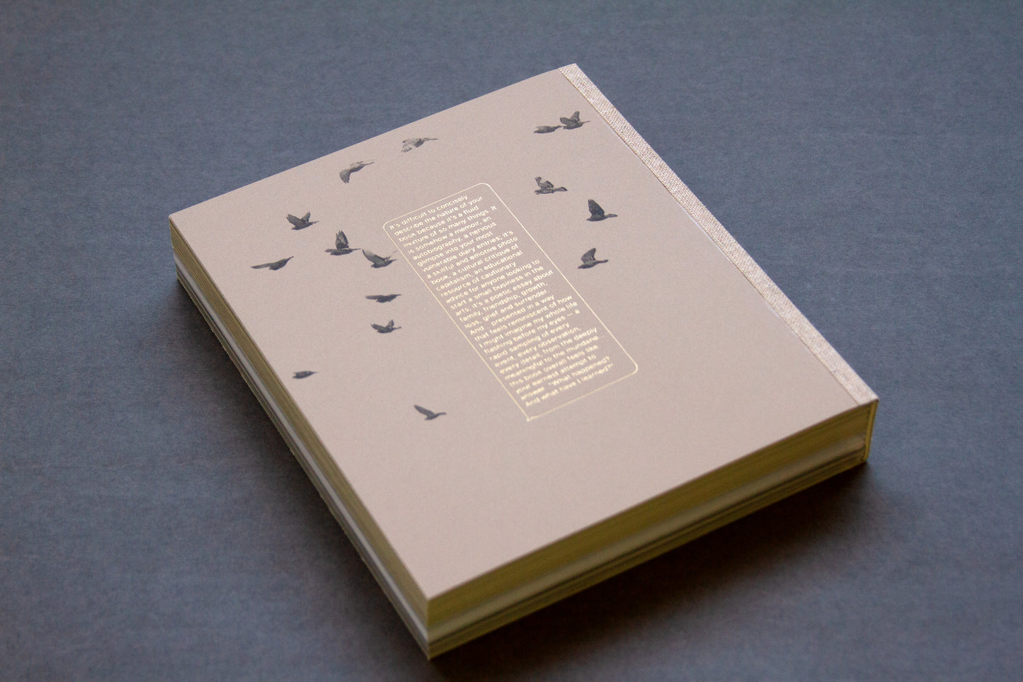 For the Birds Trapped in Airports by Matthew Austin