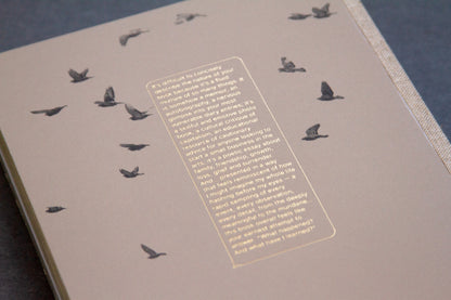 For the Birds Trapped in Airports by Matthew Austin