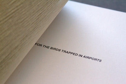 For the Birds Trapped in Airports by Matthew Austin