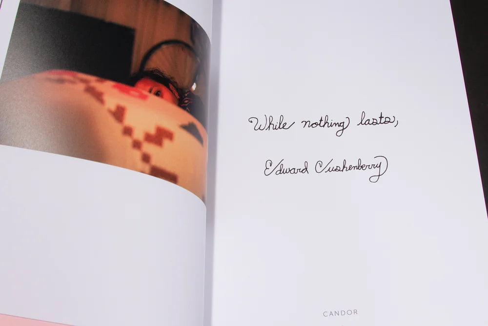 While Nothing Lasts, by Edward Cushenberry