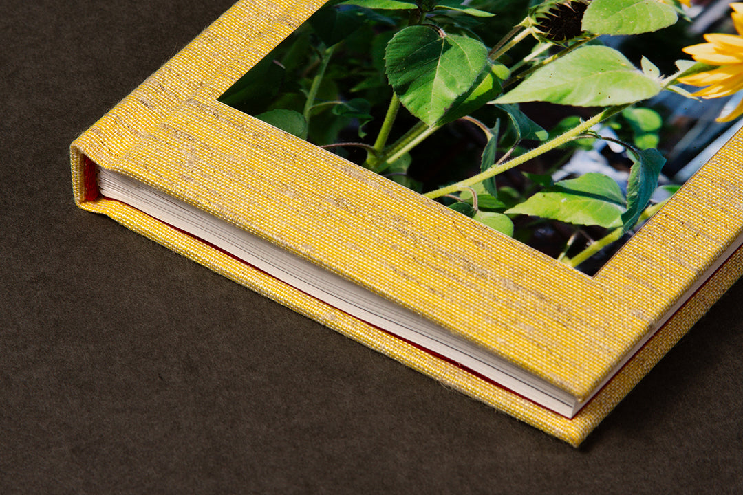 Sugar Honey Iced Tea by Ileana Ramirez and Sara J. Winston