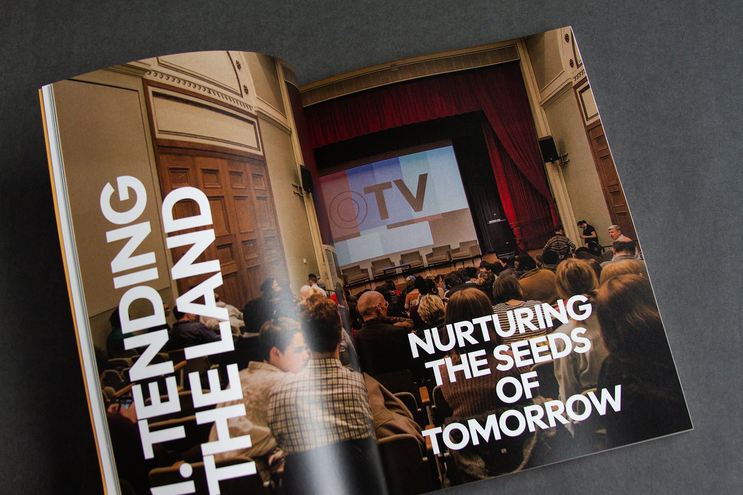 Pre-Order: Beyond the Screen by Elijah McKinnon and  Dr. Aymar Jean Escoffery