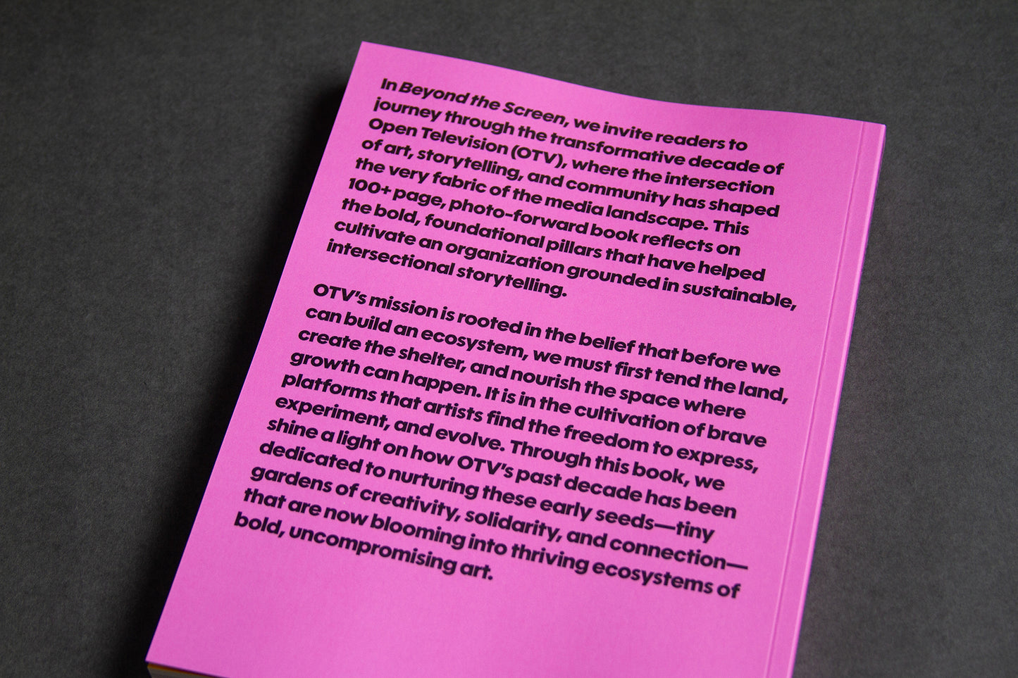 Pre-Order: Beyond the Screen by Elijah McKinnon and  Dr. Aymar Jean Escoffery